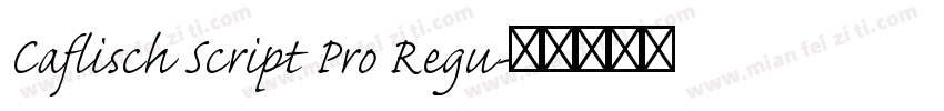 Caflisch Script Pro Regu字体转换